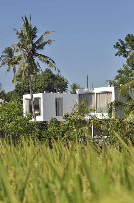 Villa Ashoka Canggu Ngoại thất bức ảnh